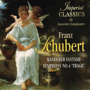 Wanderer Fantasie-Sy