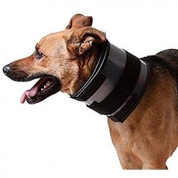 KVP Bite Free Collar Fits 11-15 Neck, 2.5 Wide