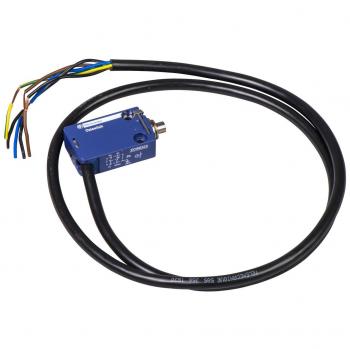 Interruptor Eléctrico Final de Curso 2p IP66/IP67 XCMD2110L1 Azul