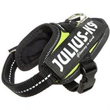 Julius-K9 16IDC - Power Harness