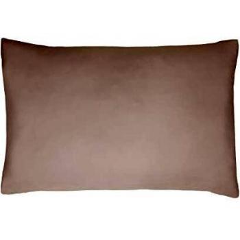 Sleepdown Juego de 2 Fundas de Almohada 100% satén de algodón, antialérgicas de 300 Hilos, de visón, 50 x 75 cm
