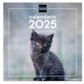 Finocam - Calendario de Pared 30x30 para Escribir 2025 con Imágenes de Gatitos, Mes Vista de Enero a Diciembre (12 meses), Español
