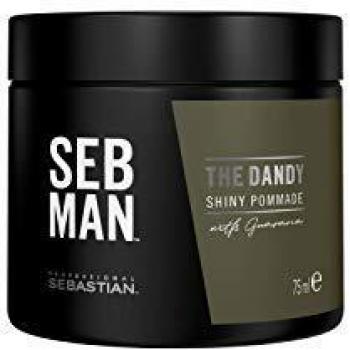 SEB MAN The Dandy Light Hold Pomade Shiny Finish 75 ml
