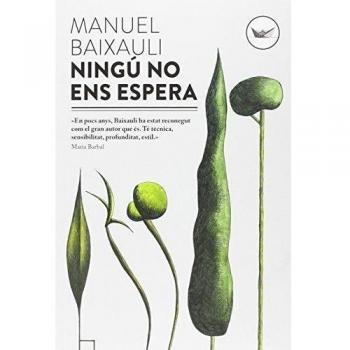 Ningu No Ens Espera: 2 - Manuel Baixauli Mateu