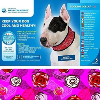 Collar Refrigerante para Perros M - Rosas, tipo: collar, características: refrigerante, tamaño M, color rosa