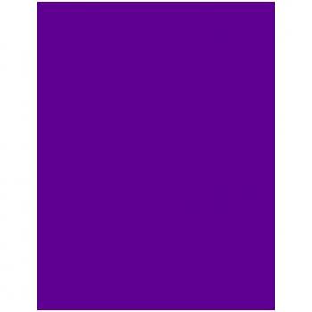 Campus University 630492 - Cartulina, 200 g, 25 unidades, 50 x 65 cm, violeta