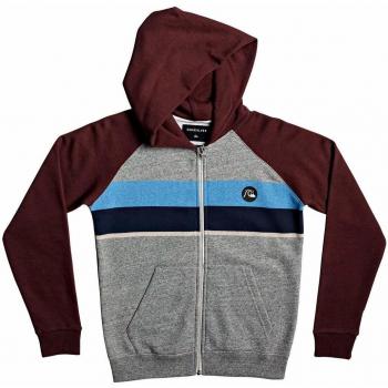 Quiksilver - Sudadera con Capucha y Cremallera - Niños 8-16 - Gris