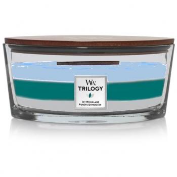 Vela Perfumada WoodWick Icy Woodland - Ellipse Trilogy con Mecha de Madera, 453,6 g