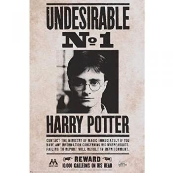 Póster Indeseable N°1 - Harry Potter (61 x 91,5 cm) - Decora Tu Hogar