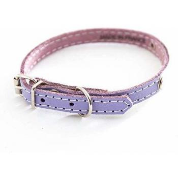 Collar acolchado para perro con placa Martin Sellier