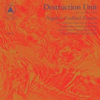 Resistor de Retroalimentación Negativa con Vinilo y Cupón MP3