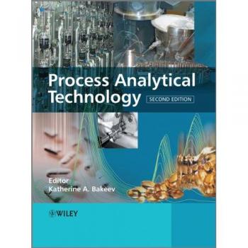 Process Analytical Technology: Spectroscopic Tools and Implementation Strategies for Chemical and Pharmaceutical Industries (Hardback)