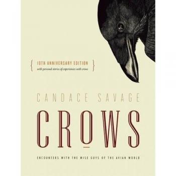 Crows: Encounters with the Wise Guys of the Avian World {10th anniversary edition}