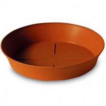 Plato Plástico Export 36 cm Resistente y Ligero