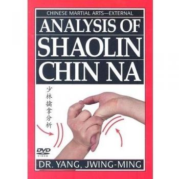 Analysis Of Shaolin Chin Na