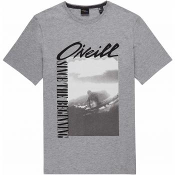 O'NEILL LM Frame Camiseta Manga Corta, Hombre, Gris