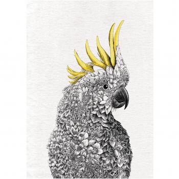 Paño de Cocina Maxwell & Williams Marini Ferlazzo Birds con Diseño de Cacatúa de Gorro Amarillo Australiana, 100% Algodón, 50 x 70 cm, Blanco