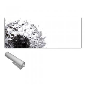 designersgroup de cristal Decoración de vidrio templado reforzado 125 x 50 cm EchtGlas Float Cristal de Seguridad ESG No acrílico cristal Protección contra salpicaduras para azulejos Espejo técnicos pared Diente