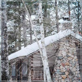 Panopticon - Scars of Man on the Once Nameless Wilderness Part 2 (Vinyl Edition)