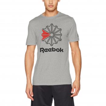 Reebok F GR tee Camiseta, Hombre, Gris