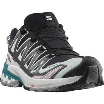 Salomon - Zapatillas de trail running de mujer XA PRO 3D V9 GORE-TEX negro beige azul 41(1/3)