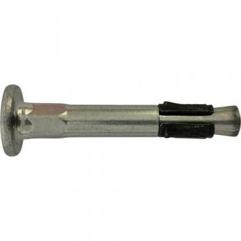 FISCHER 046024 - Anclaje clavo FNA II 6X30/50 A4 (Envase de 50 ud
