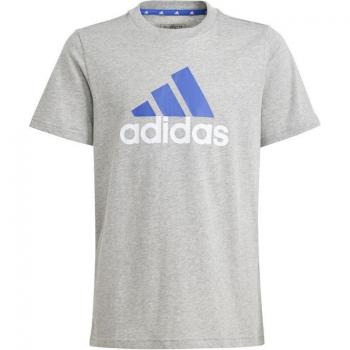 Camiseta Adidas Essentials Big Logo L 2 Infantil