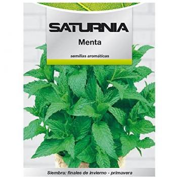 Semillas Aromáticas de Menta (0.3 gramos) para Horticultura y Huerto