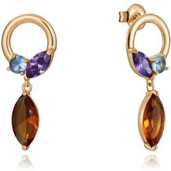 Pendientes Viceroy Elegant de Plata de Ley con Baño de Oro y Piedras de Cristal Multicolores