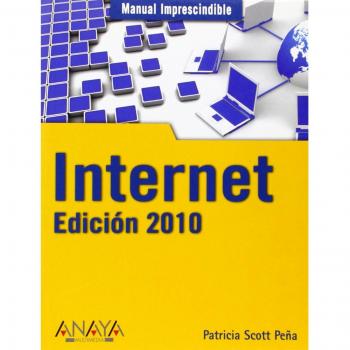 Internet. Edición 2010
