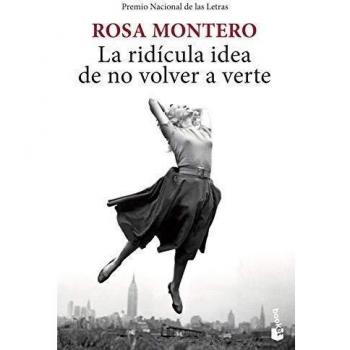 The Ridiculous Idea of Never Seeing You Again - Novel by Rosa Montero