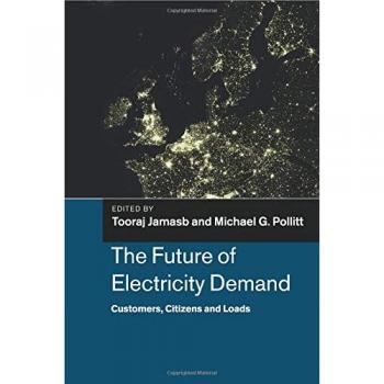 El Futuro de la Demanda de Electricidad: Clientes, Ciudadanos y Cargas (Papers Ocasionales del Departamento de Economía Aplicada)