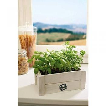 Verdemax Caja huerto aromáticas Easy Orto