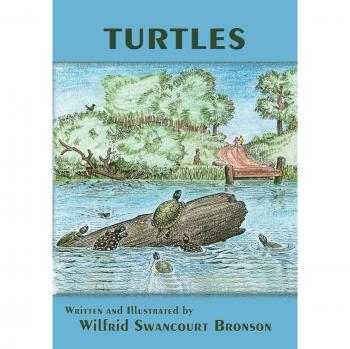 Wilfrid Swancourt Bronson's Turtles: A Comprehensive Guide to Turtle Species and Conservation
