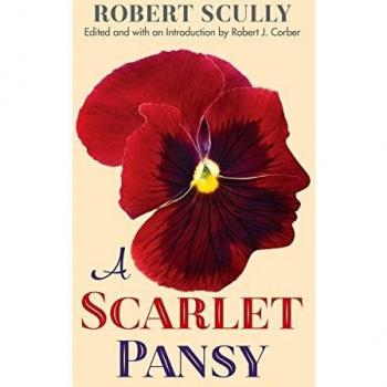 A Scarlet Pansy