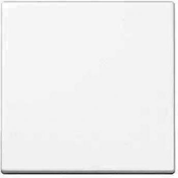 Interruptor Duroplast Serie A Blanco Alpino A590WW