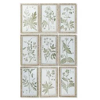 Cuadro DKD Home Decor Cottage Plantas botánicas 30 x 2 x 50 cm (9 Unidades)