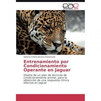 Entrenamiento por Condicionamiento Operante en Jaguar: Diseño de un plan de técnicas de condicionamiento animal, para la obtención de una respuesta clínica efectiva en jaguar