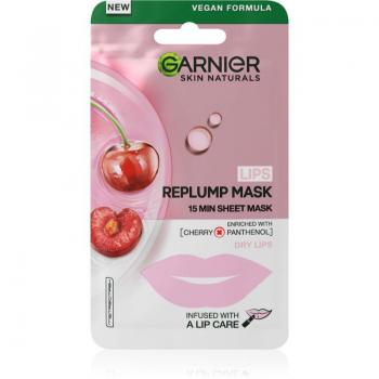 Garnier Skin Naturals Lips Replump Mask 5 g