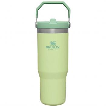 Stanley IceFlow Flip Straw Tumbler 0.89L Citron - Size: One Size - Unisex - Keeps Cold For 12+ Hours - Leakproof - Easy to Carry - Dishwasher Safe - Stainless Steel Water Bottle - BPA-Free