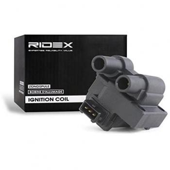 Bobina de encendido RIDEX 689C0155 para RENAULT Clio II, Kangoo I y Megane 1