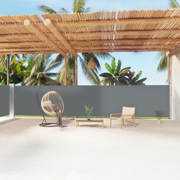 Toldo lateral retráctil antracita 160x1200 cm