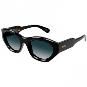 Chloé Cat Eye Sunglasses with Bio Nylon Lenses, Brown female, Size: 53 MM; Chloé Sunglasses, female, Black, Size: 53 MM (Model CH0220S); Chloe Gayia Cat Eye Sung