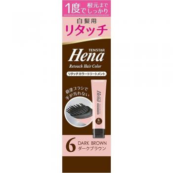 Ten Star Sanpo Dark Brown Retouch Color Treatment 65g