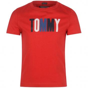 Camiseta TOMMY HILFIGER 697 AME 3 COL LOGO CN TEE S/S