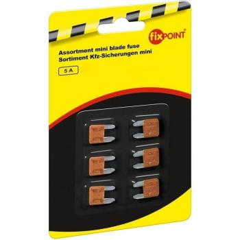 6 piezas de coche fusible Surtido de mini 5,0 A, 10pieza