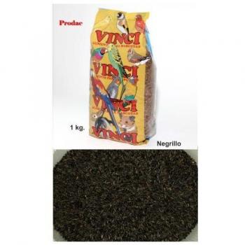 NEGRILLO VINCI