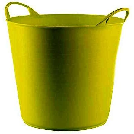 Imagen Principal