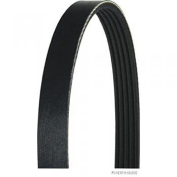 Correa trapecial poli V HERTH+BUSS JAKOPARTS J1050925, correa de accesorios con nervaduras y estrías 925 5