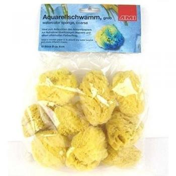 Esponja para acuarela grañones 6 cm 531.223 10 pcs
